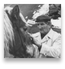collage image title