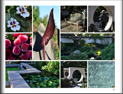 Stacks Image 240