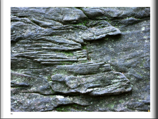 Stacks Image 432