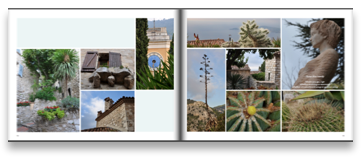 collage image title
