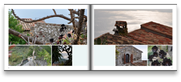collage image title