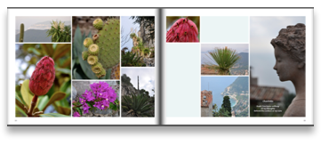 collage image title