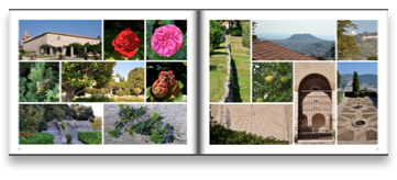 collage image title