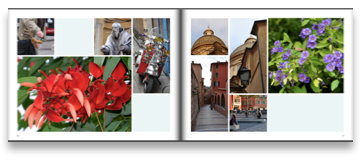 collage image title
