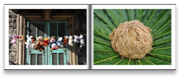 collage image title