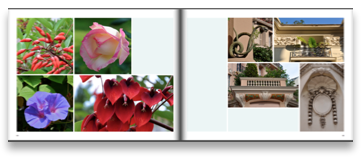 collage image title