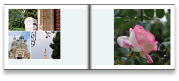 collage image title