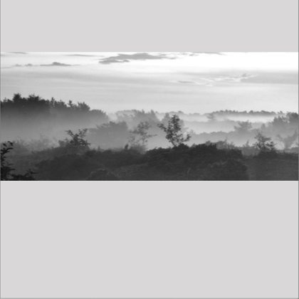 Stacks Image 27