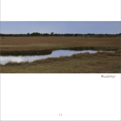Stacks Image 33