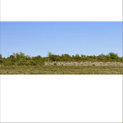 Stacks Image 55