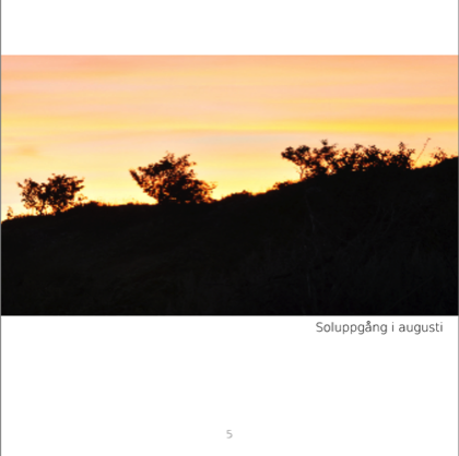 Stacks Image 7