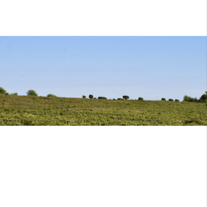 Stacks Image 83