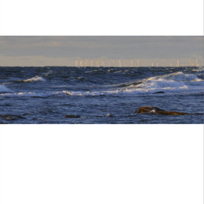 Stacks Image 97