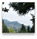 collage image title