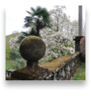 collage image title
