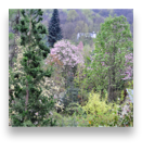 collage image title