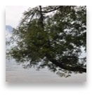 collage image title