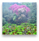 collage image title