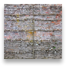 collage image title