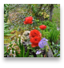 collage image title