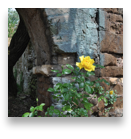 collage image title