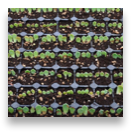 collage image title