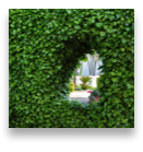 collage image title
