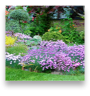 collage image title