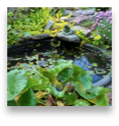 collage image title