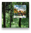collage image title