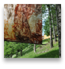 collage image title