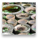 collage image title