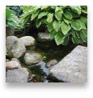 collage image title