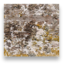 collage image title