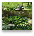 collage image title