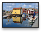 collage image title