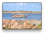 collage image title