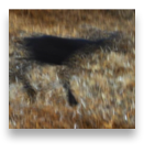 collage image title