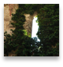collage image title