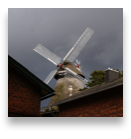 collage image title