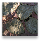 collage image title