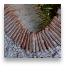collage image title