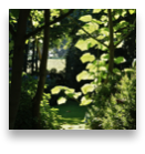 collage image title