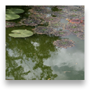 collage image title