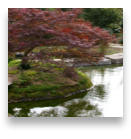 collage image title
