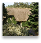 collage image title
